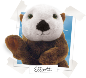 Elliott the Otter Cooper's Pack Seattle